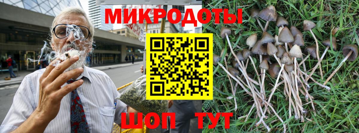 Псилоцибиновые грибы прущие грибы Свободный