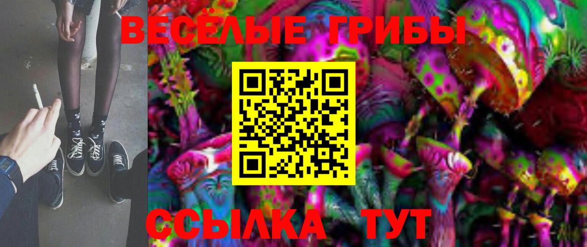 Свободный  Псилоцибиновые грибы прущие грибы  Вход с VPN 
